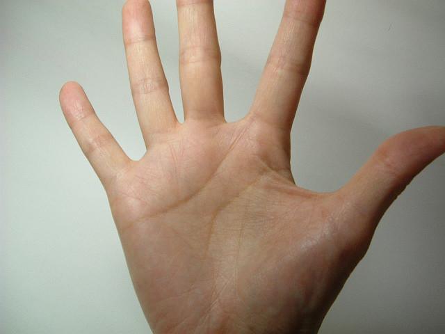 �Ȃ񂩃c�����Ƃ��Ă�c