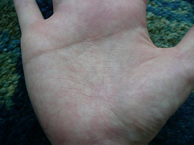 �Z����ɂ͕����܂���I