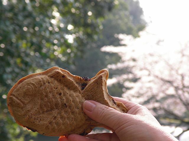 �V�����̂����Ă�