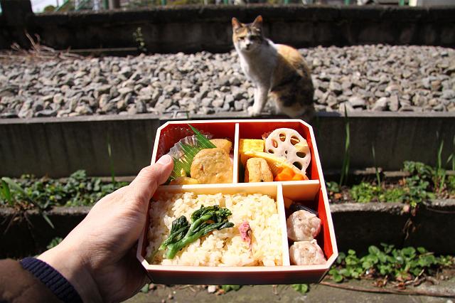 ��z���̋G�ߌ���ٓ�