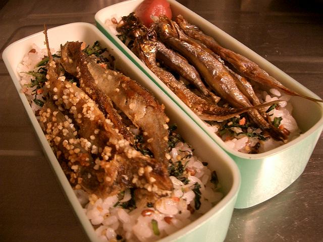 ��������ٓ�