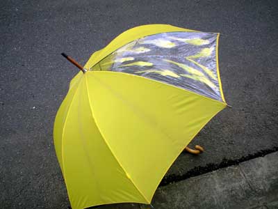 �v���o�̎P