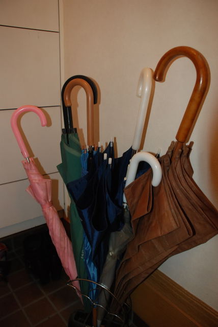 �����Ă������P