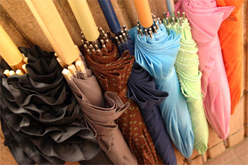 �F�X����B