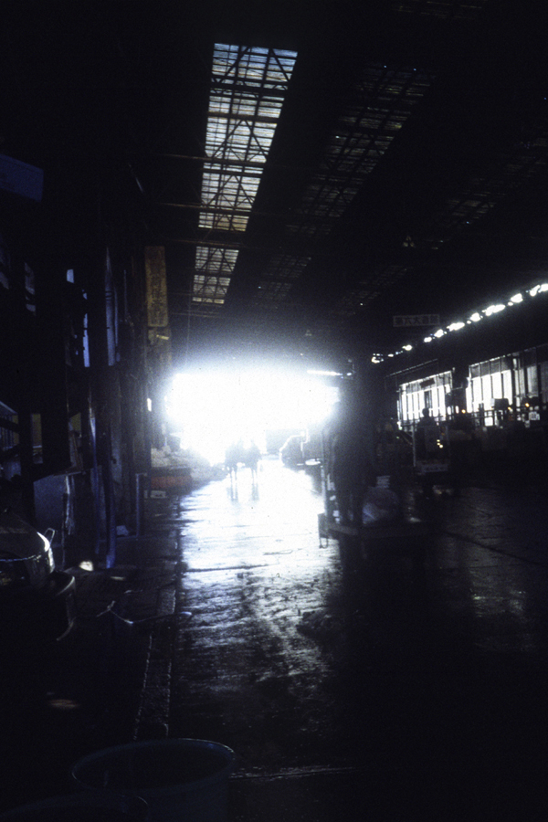 ��������̒z�n�s��