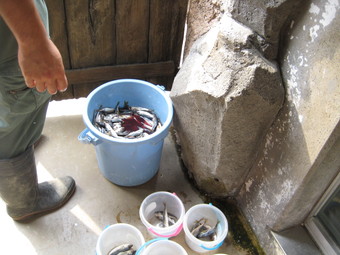 ���h��ꂽ�d��