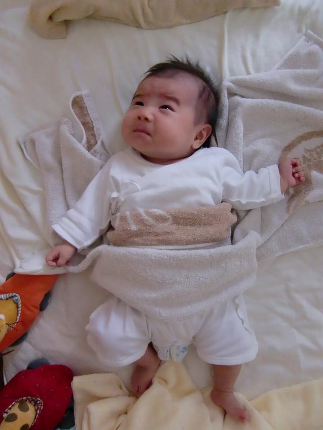 �C�[�O�����V����