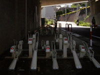 �r�e���ۂ������钓�֏�