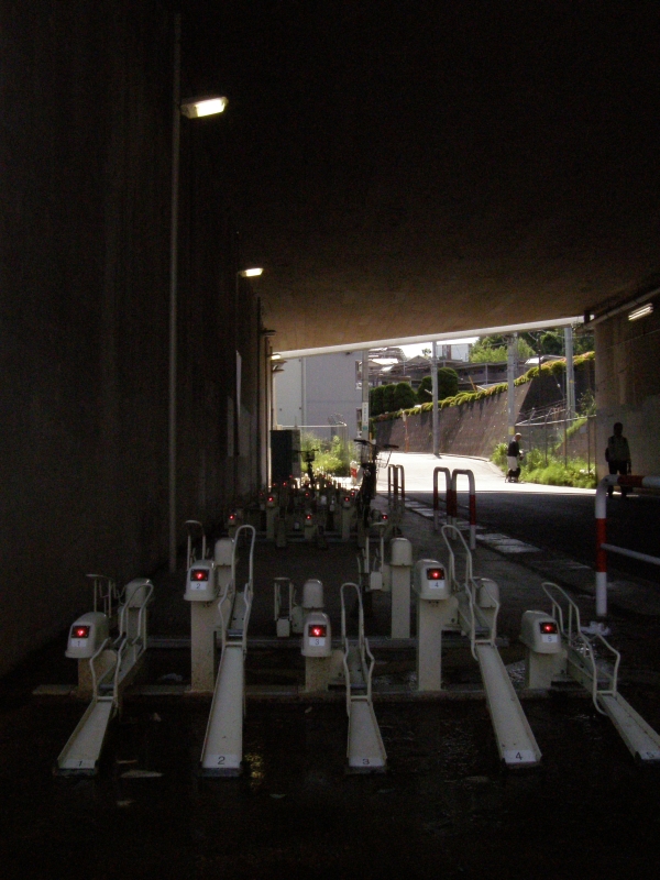 �r�e���ۂ������钓�֏�