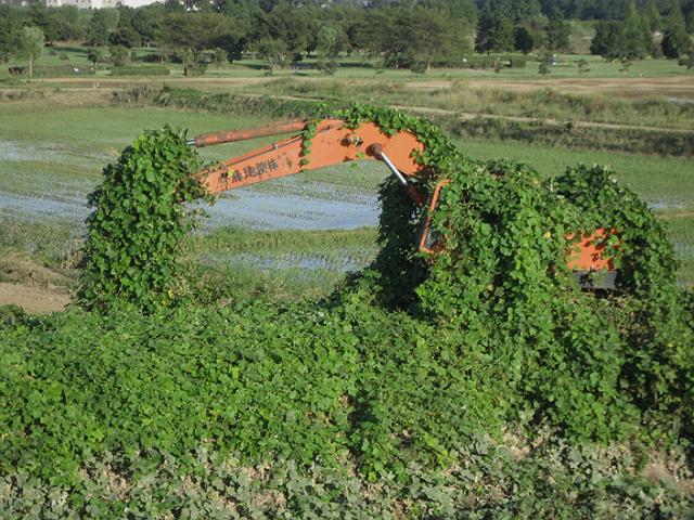 ���[�̏d�@