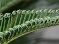 �\�e�c�̎�t������������������