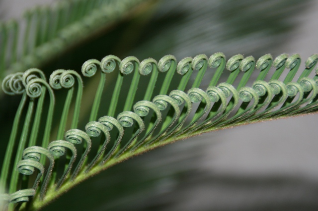 �\�e�c�̎�t������������������