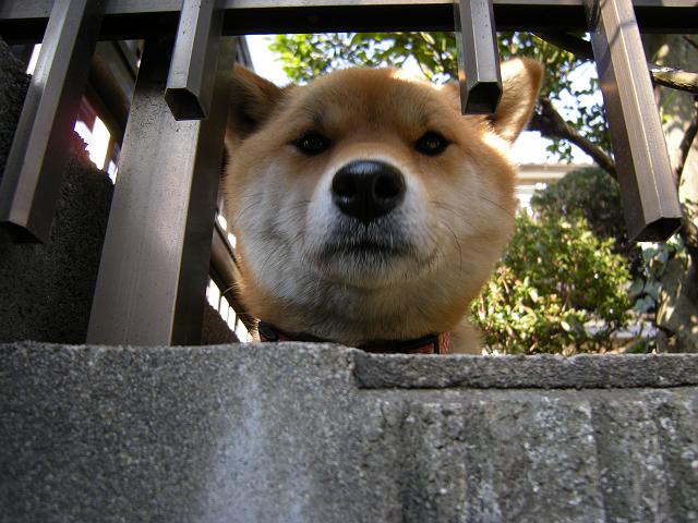 �{�X�E�E�E