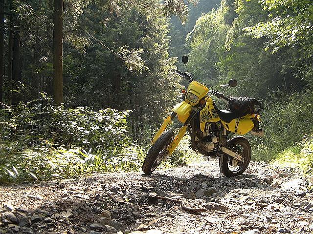 �J�b�R�悩�����̂͂����܂�