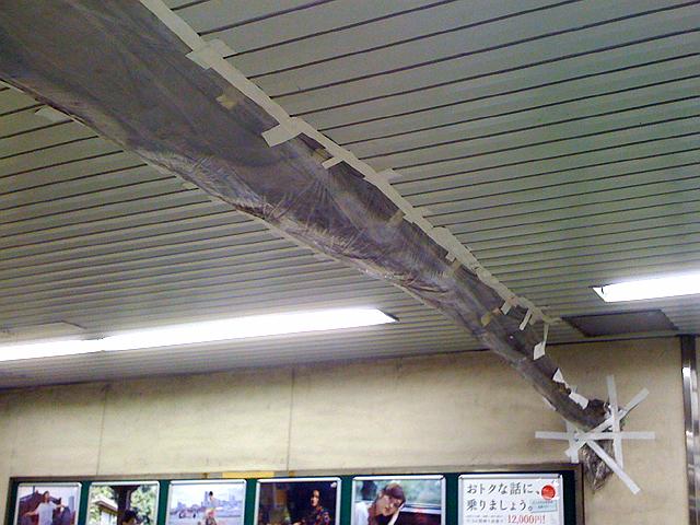 �s�c�n���S�̉J�R��΍�