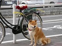 �܂��Ă邩��