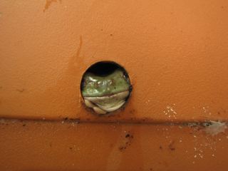 �ǂ�����āH