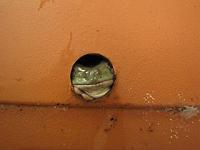 �ǂ�����āH