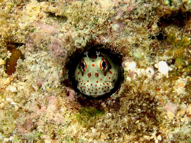 �����c�L�J�G���E�I