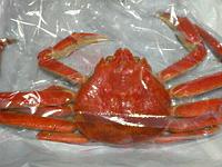 ���f�̐Ԃ��b�k��