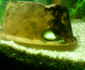 ���[�ρ[��[�ρ[�����Ă���