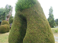 �t�T�тȐA��