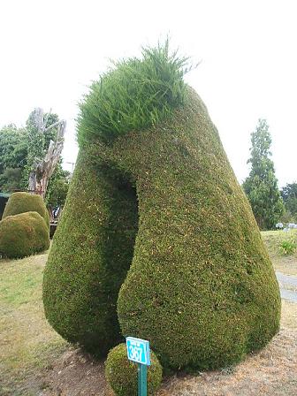 �t�T�тȐA��