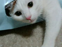 ���o�J����