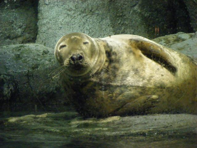 ��������A�U���V