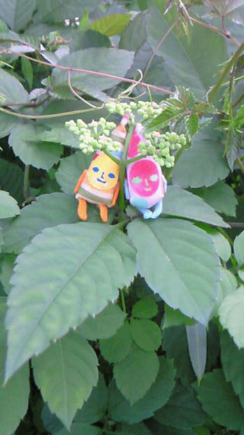 �j�[�`�F�Ɠ��j�[�`�F����