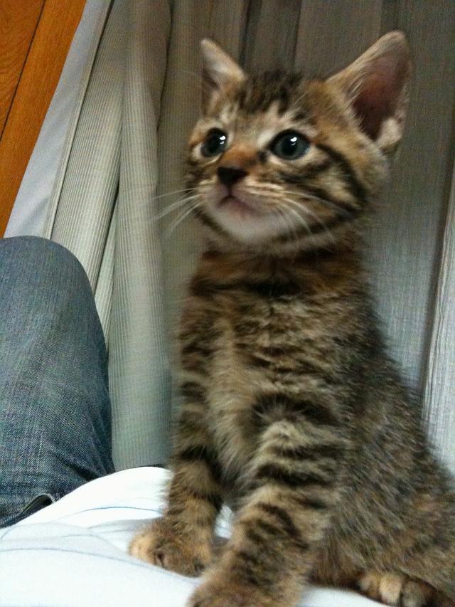 �g�}�g�����