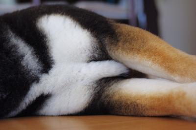 �n�g�H�΂߁H