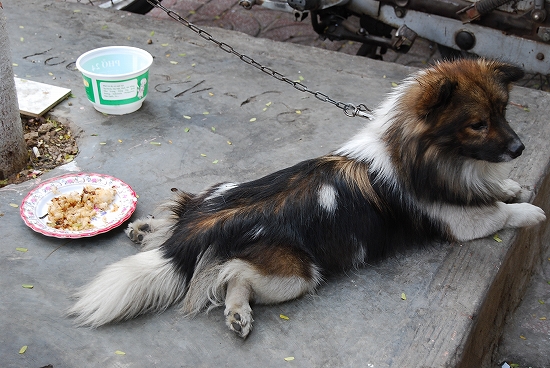 ��邢�Ҋ֐߂����킢��