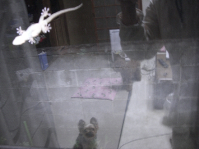 ���ɂ���c