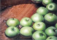 �R�����̂���������