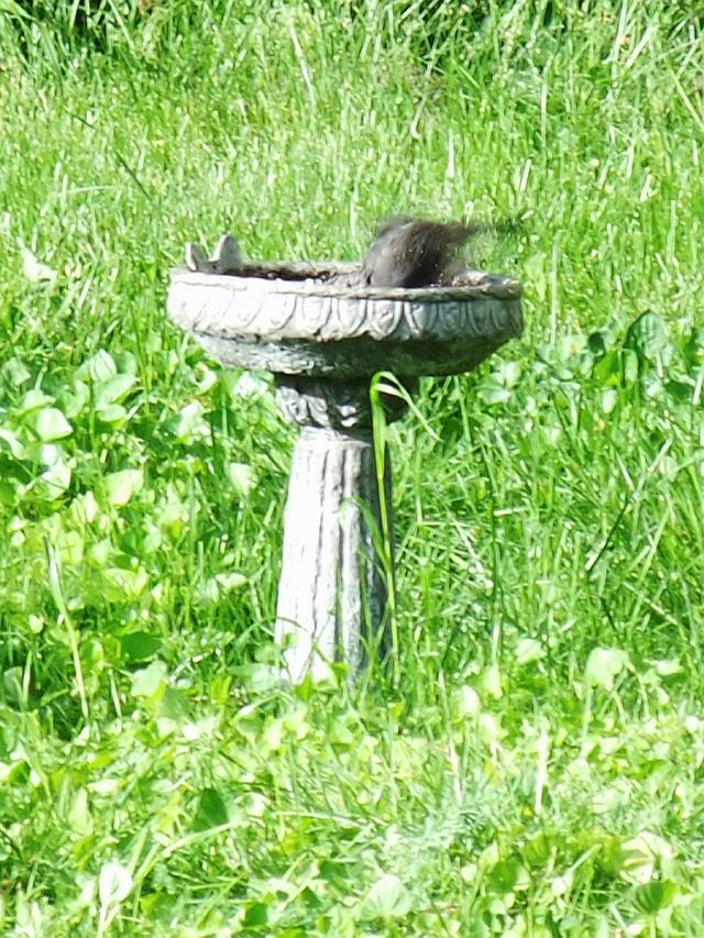 �����̃v�[��