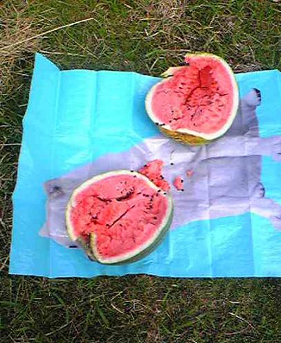 �X�C�J����I