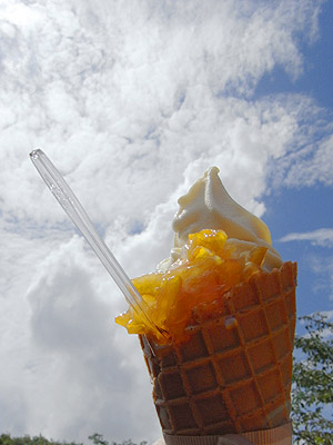 ���R��́u���ɂ̈ɗ\���\�t�g�v