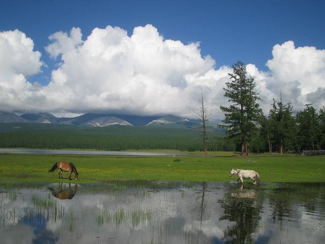 ����u�āv�ɓ��e�����тꂽ�̂ł����ė��p