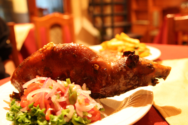 �ۏĂ��E�e���W�N�l�Y�~