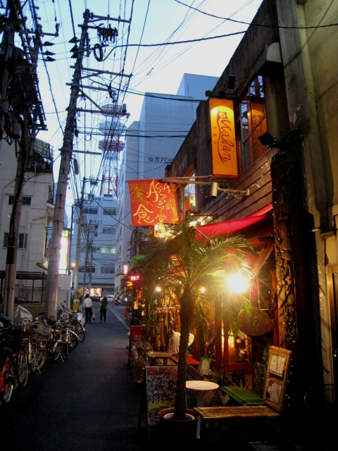 �H�n����{�������ٍ�