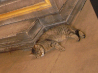 ���E��Y�A���\�t�B�A�̒��Ŗ���L