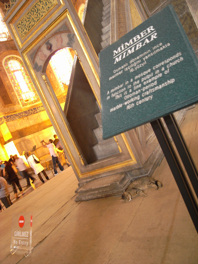 ���E��Y�A���\�t�B�A�̒��Ŗ���L