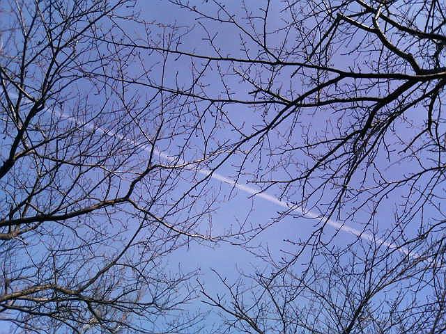 �Ђ���������