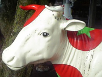 �Ȃ܂߂������g�}�g��