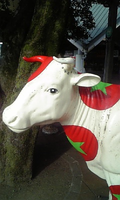 �Ȃ܂߂������g�}�g��