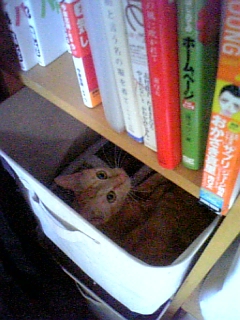 �s���s��