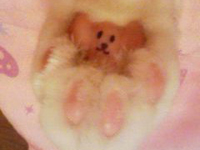 �˂��ɃC�^�Y��