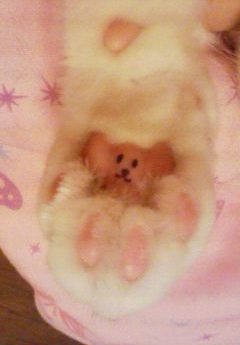 �˂��ɃC�^�Y��