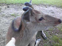 �ޗǂ̎��ƋY��Ă���